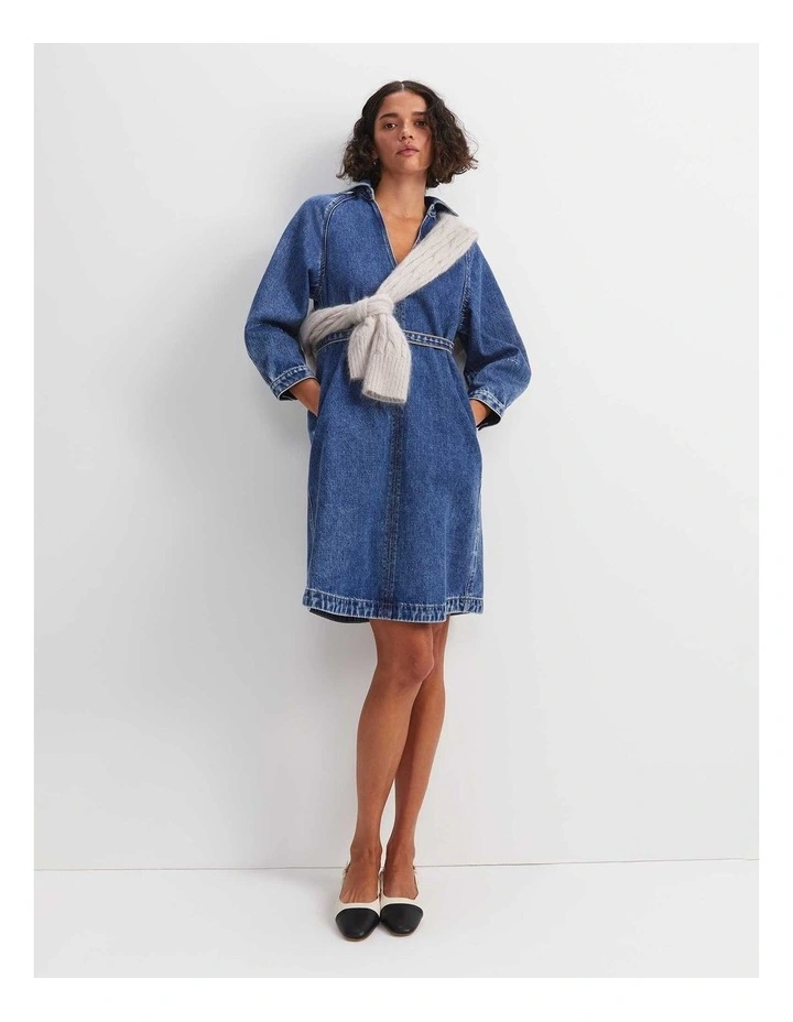 Allegra Denim Mini Dress in Blue image 5
