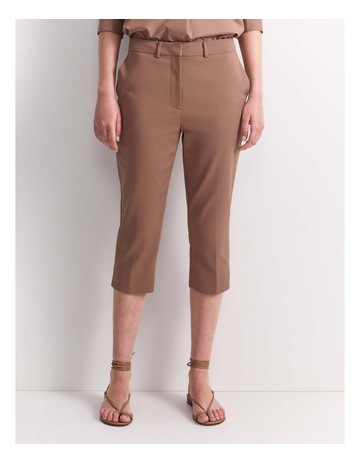 Mocha colour