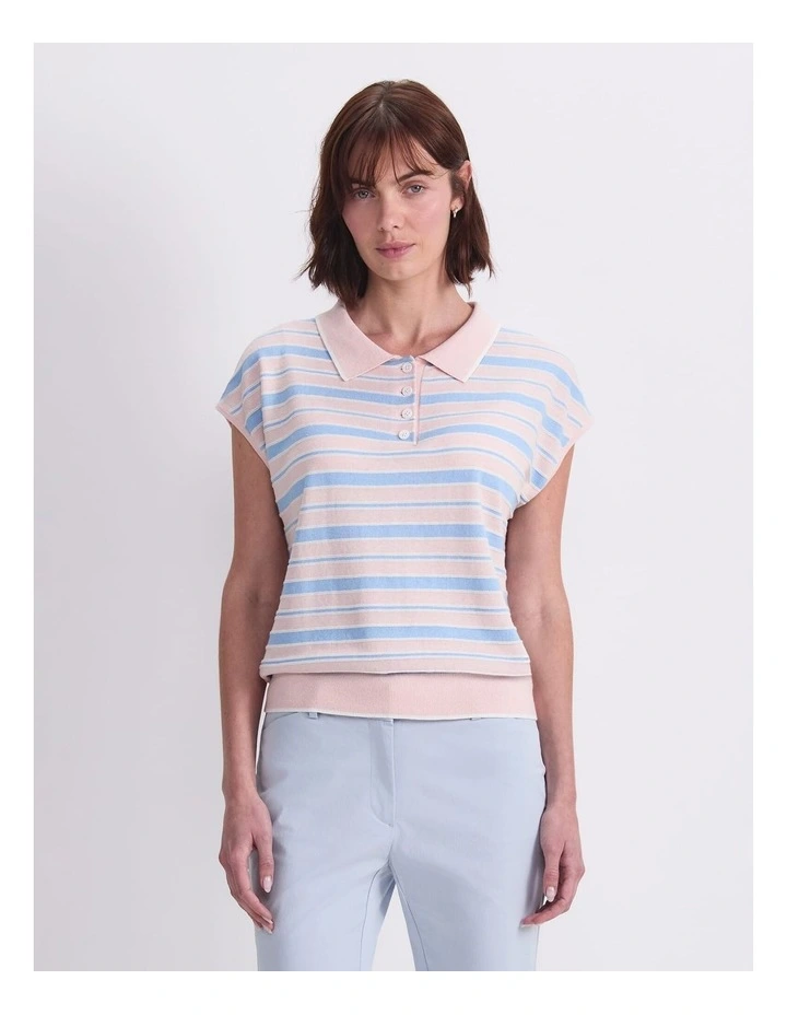 Alphine Stripe Polo Knit Jumper in Multi image 1
