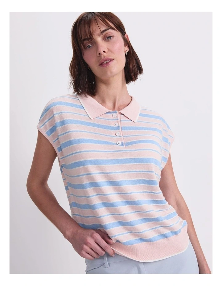 Alphine Stripe Polo Knit Jumper in Multi image 4
