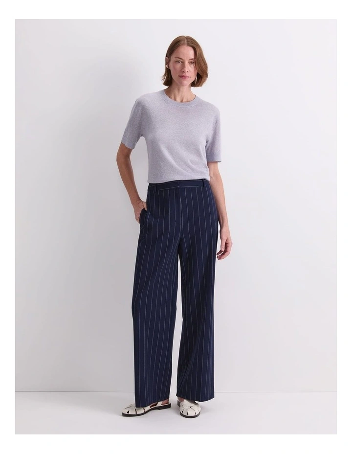 Mya Pinstripe Pant in Multi image 5