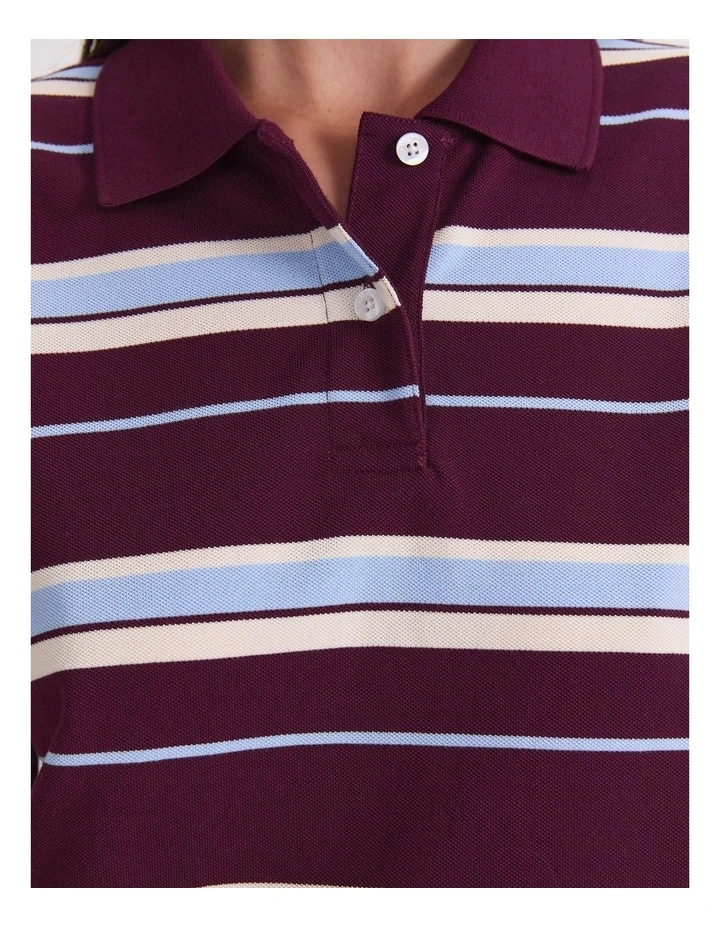 Anahit Stripe Polo in Multi image 5
