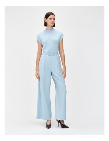 Pale Blue colour