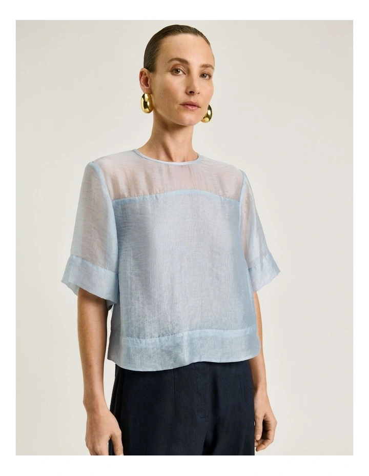 Sheer Organdy Yoke Top in Blue image 3