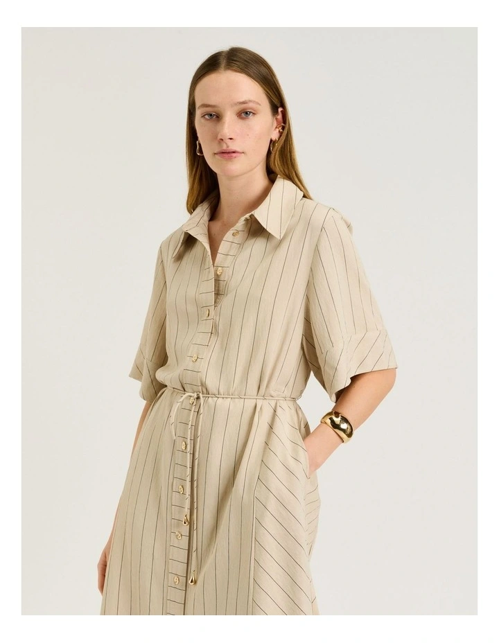 Wide Pinstripe Tie Waist Shirtdress in Brown image 3
