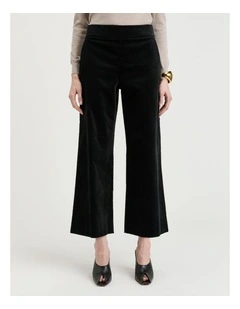 Stretch Velvet Flared Pant in Black
