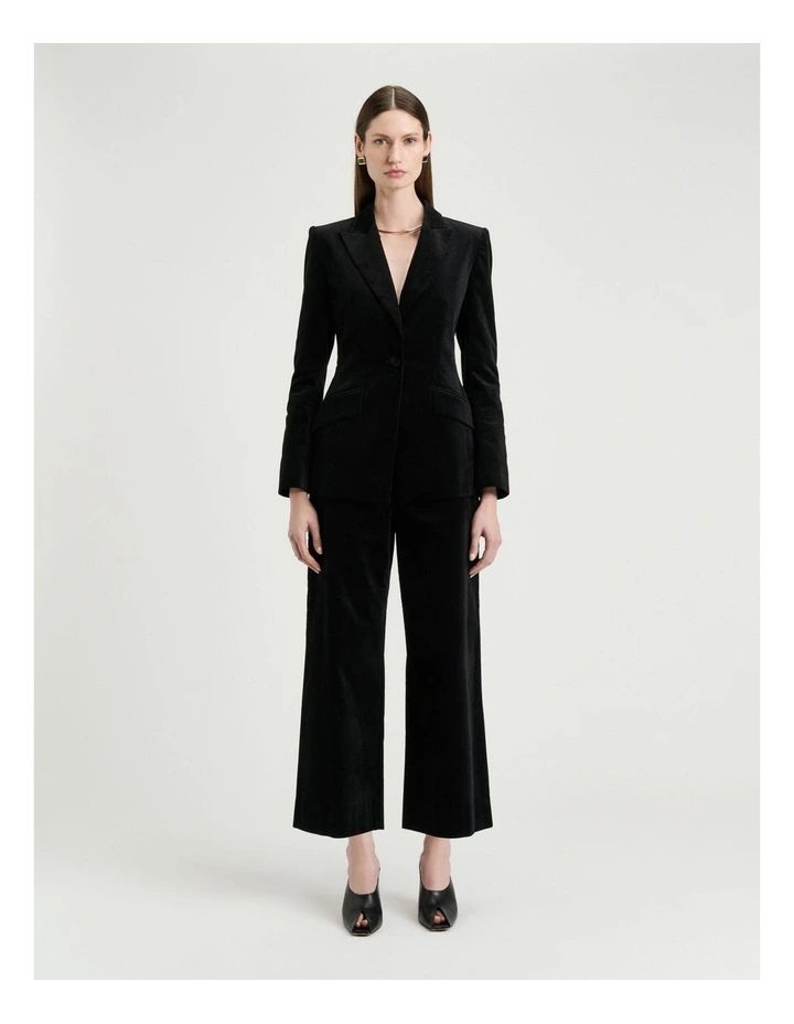 Stretch Velvet Flared Pant in Black image 5