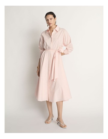 Pink Shell colour