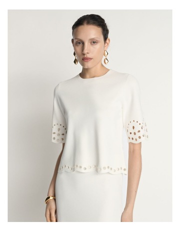 Ivory colour