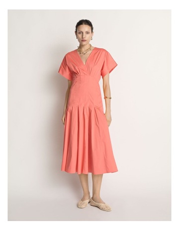 Coral colour