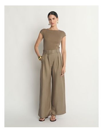 Camel colour