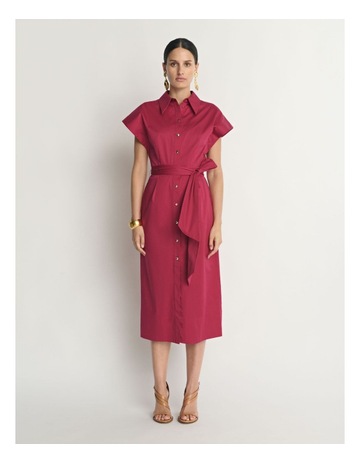 Raspberry colour