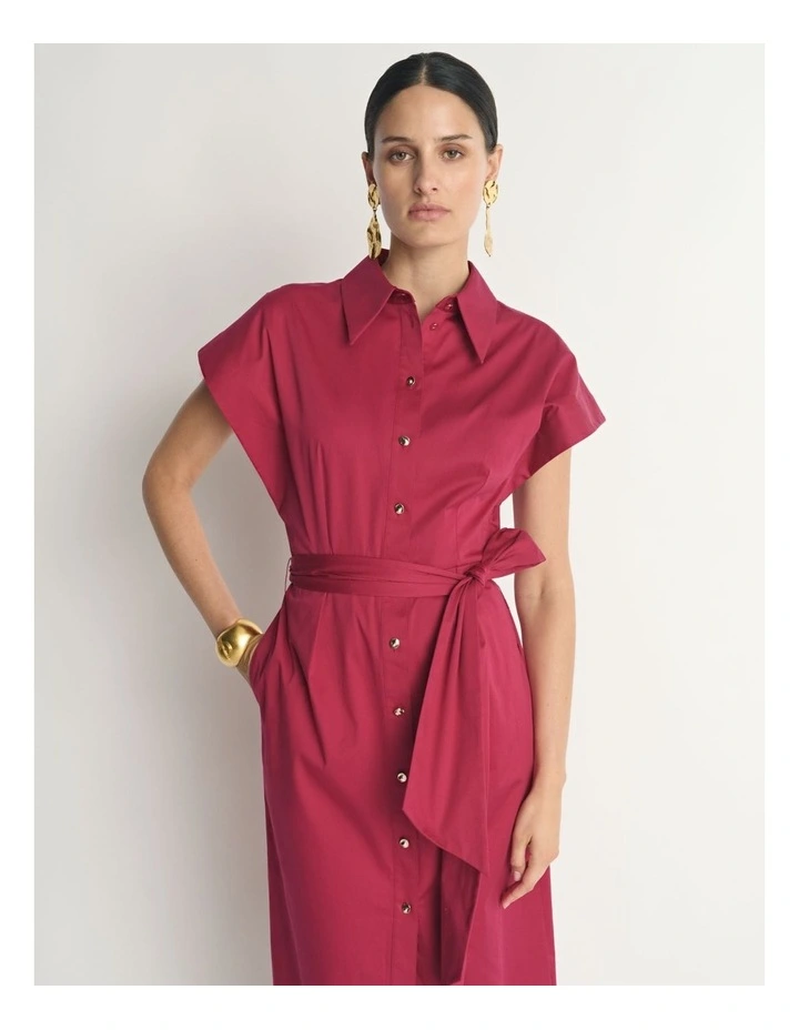 Stretch Cotton Belted Shirtdress image 3
