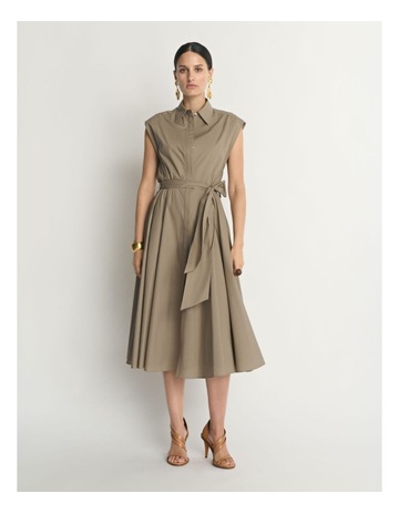Camel colour