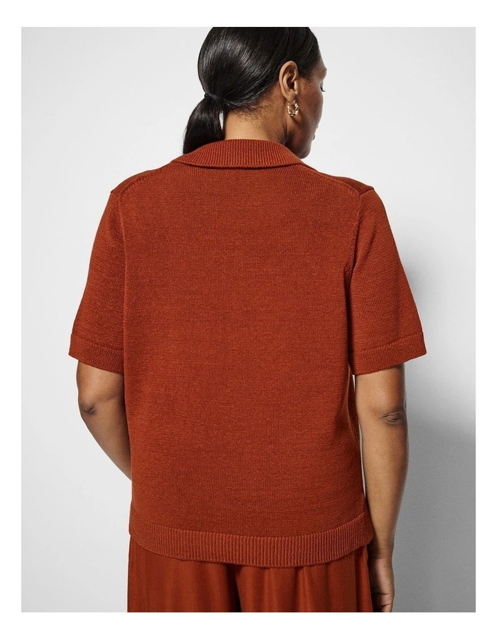 Bronte Knit Polo in Auburn image 3