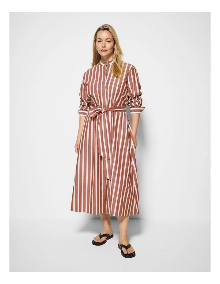 Emma Dress in Auburn Stripe image 5