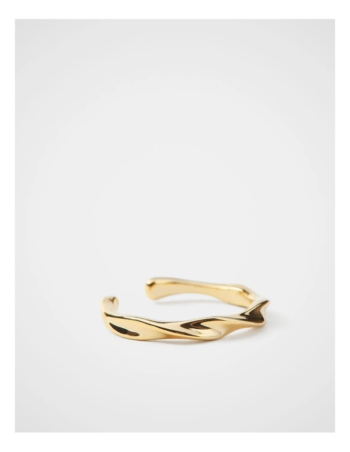 Hazel Spiral Ring in Gold image 1