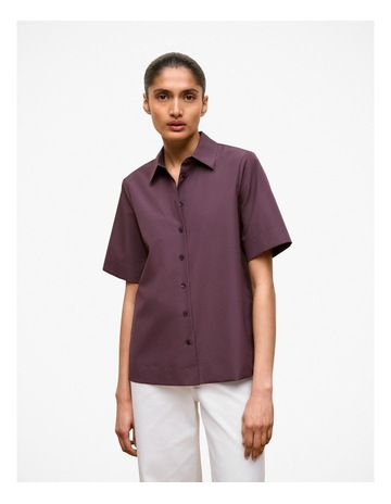 Dark Plum colour