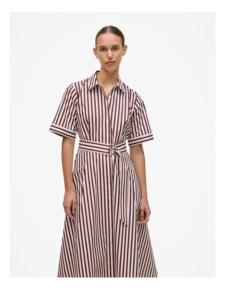 Poplin Stripe Belted Dress in Espresso image 2