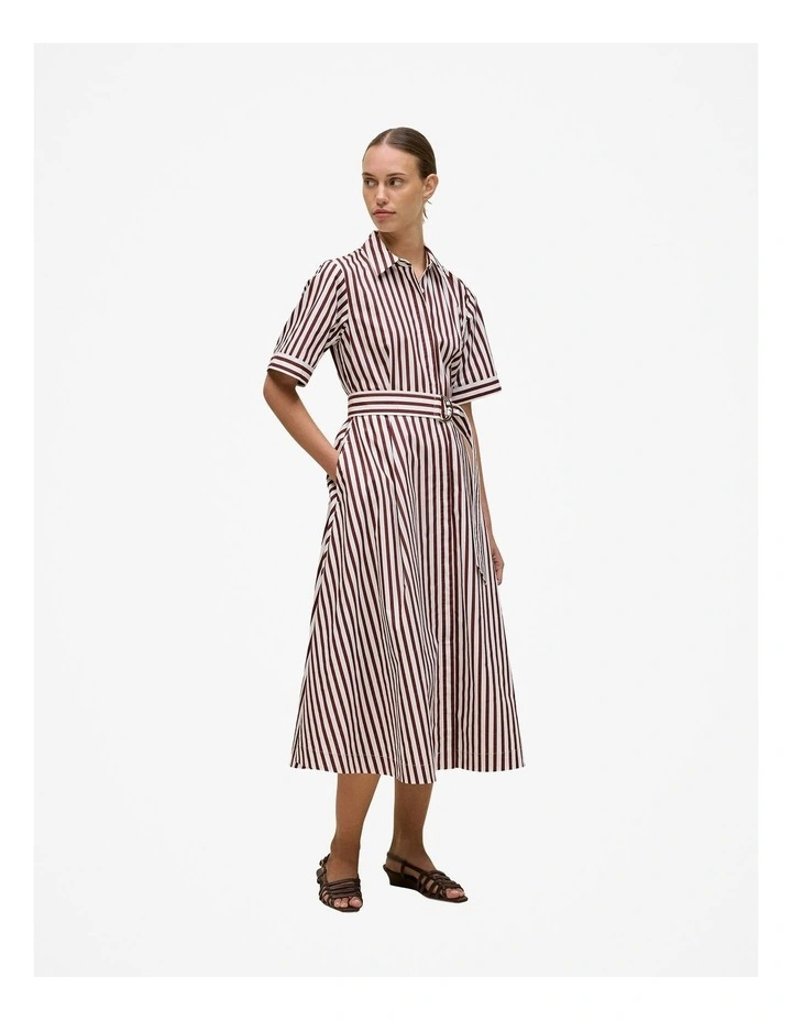 Poplin Stripe Belted Dress in Espresso image 4