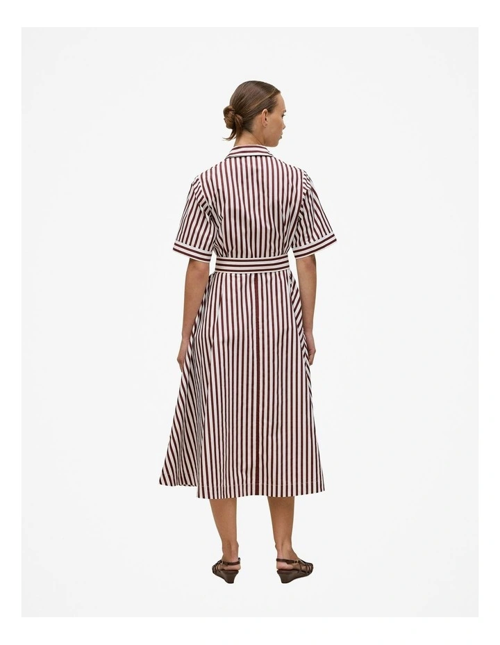 Poplin Stripe Belted Dress in Espresso image 5
