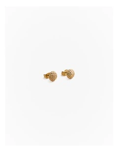 Rava Stud Earrings in Gold