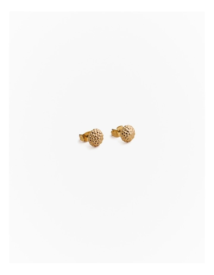 Rava Stud Earrings in Gold image 1