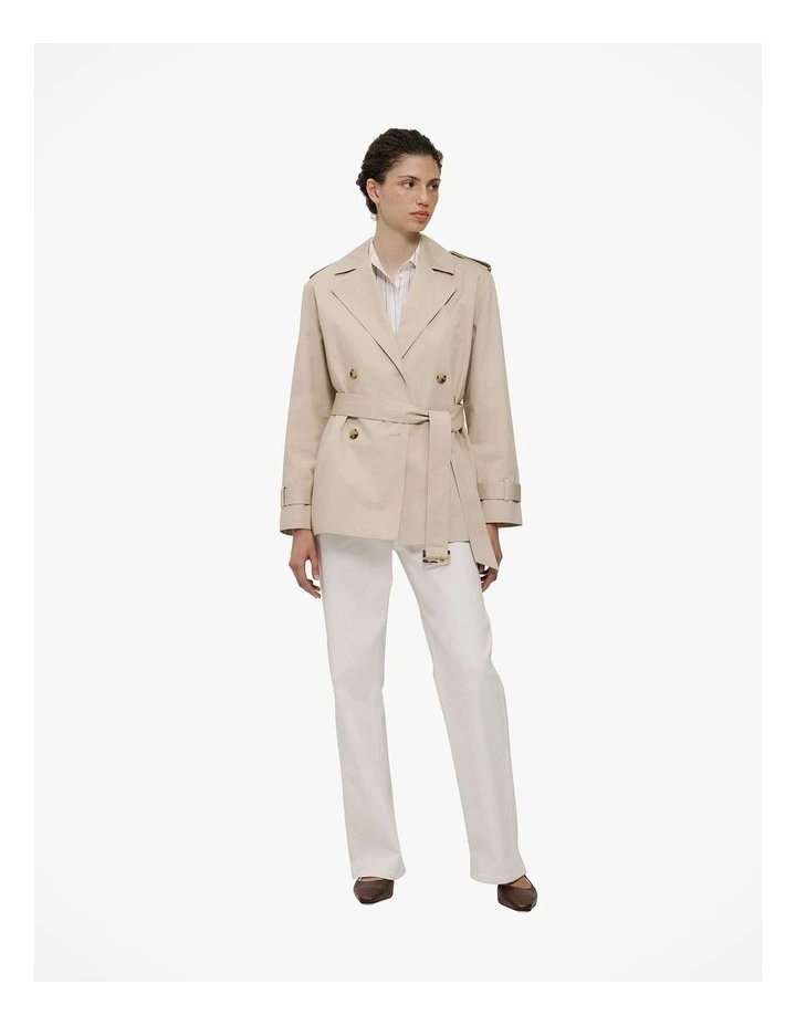Yarn Dyed Poplin Stripe Shirt in Russet image 2