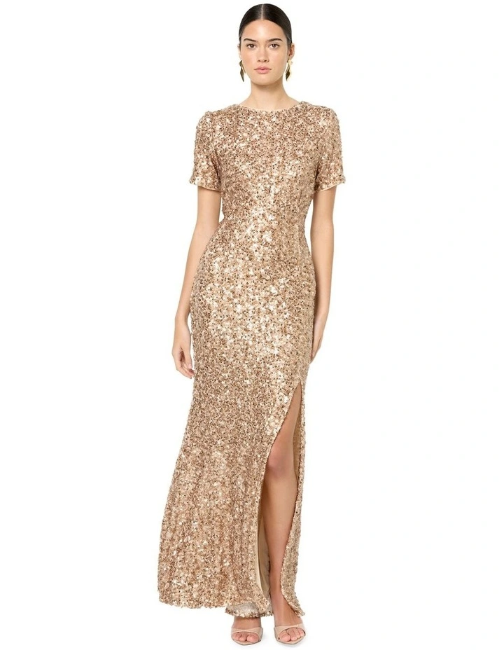Colette Sequin Gown in Brown image 1