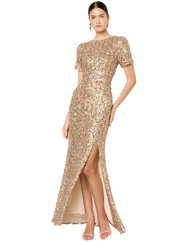 Colette Sequin Gown in Brown image 6