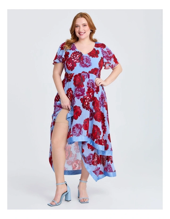 Camilia Amazonia Maxi Dress in Multi image 4