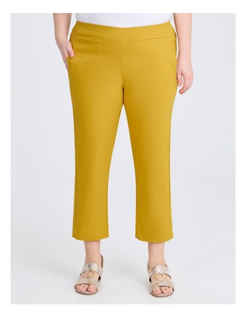 Mustard colour
