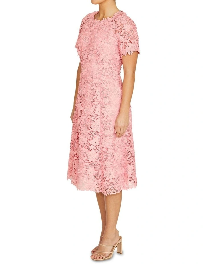 Nila Dress in Rose image 4