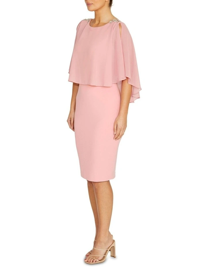 Cybill Dress in Rose image 4