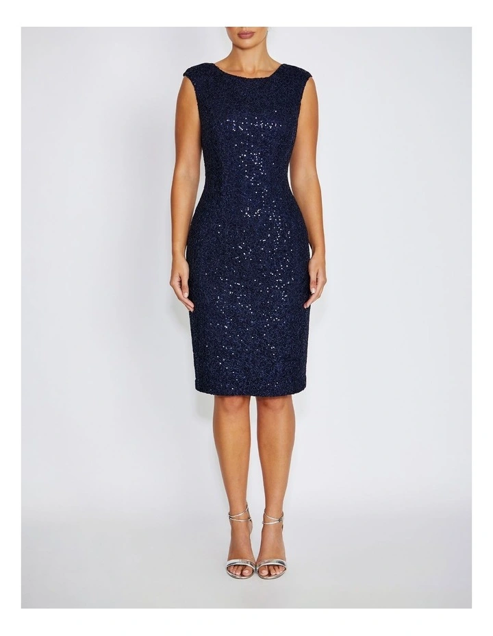 Elizabeth Stretch Corded Lace Dress image 1