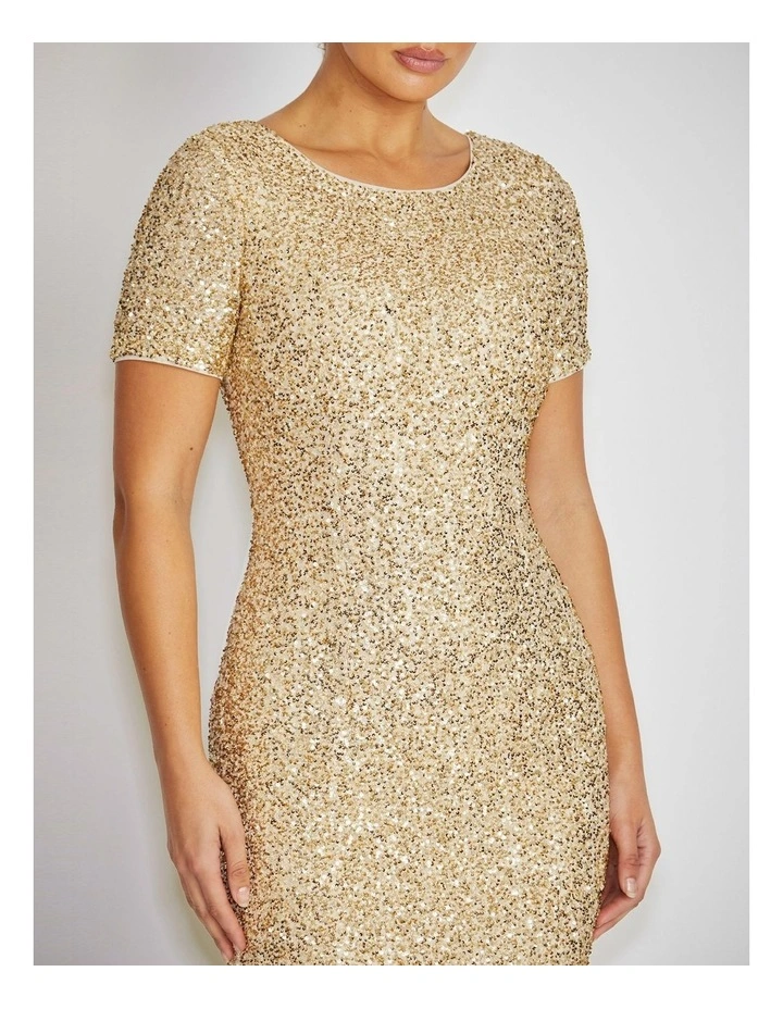 Tilly Dress in Champagne image 4