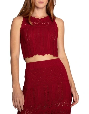 Harvest Haze Crochet Crop Top in Berry