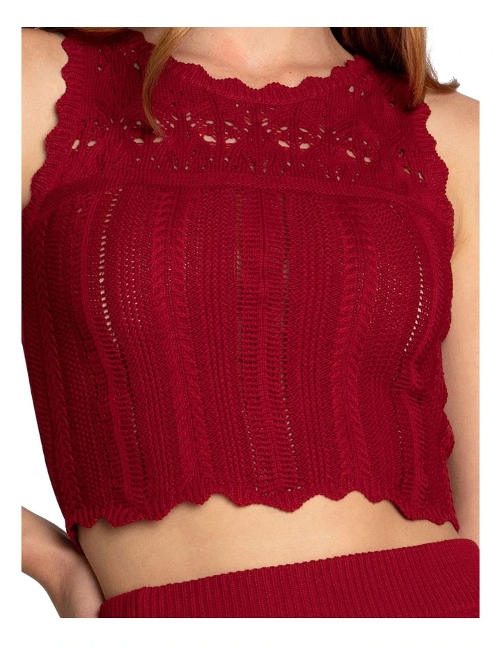 Harvest Haze Crochet Crop Top in Berry image 2