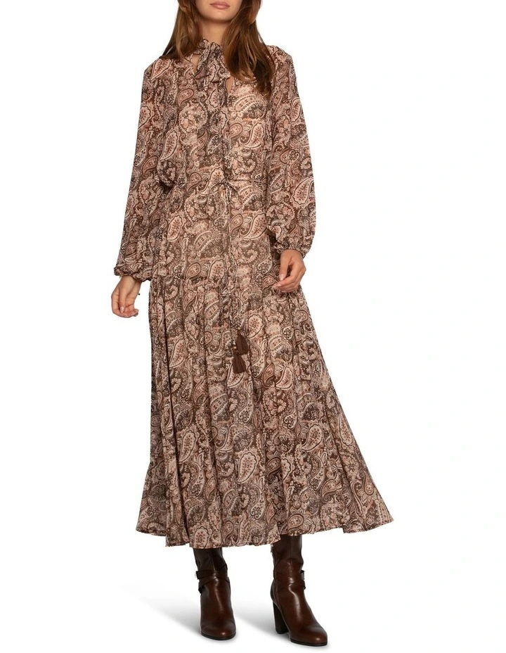 Waterfall Printed Maxi Dress in Brown image 1