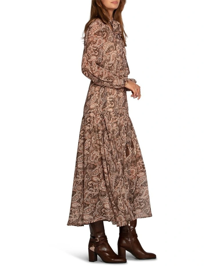 Waterfall Printed Maxi Dress in Brown image 3