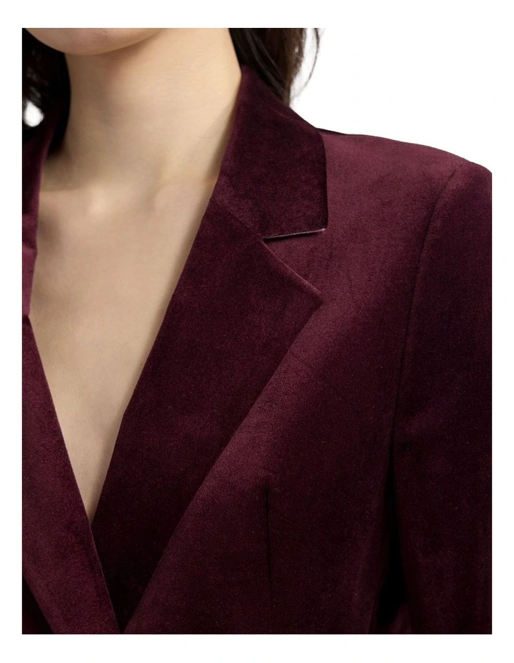 Raffi Velvet Blazer in Italian Plum image 6