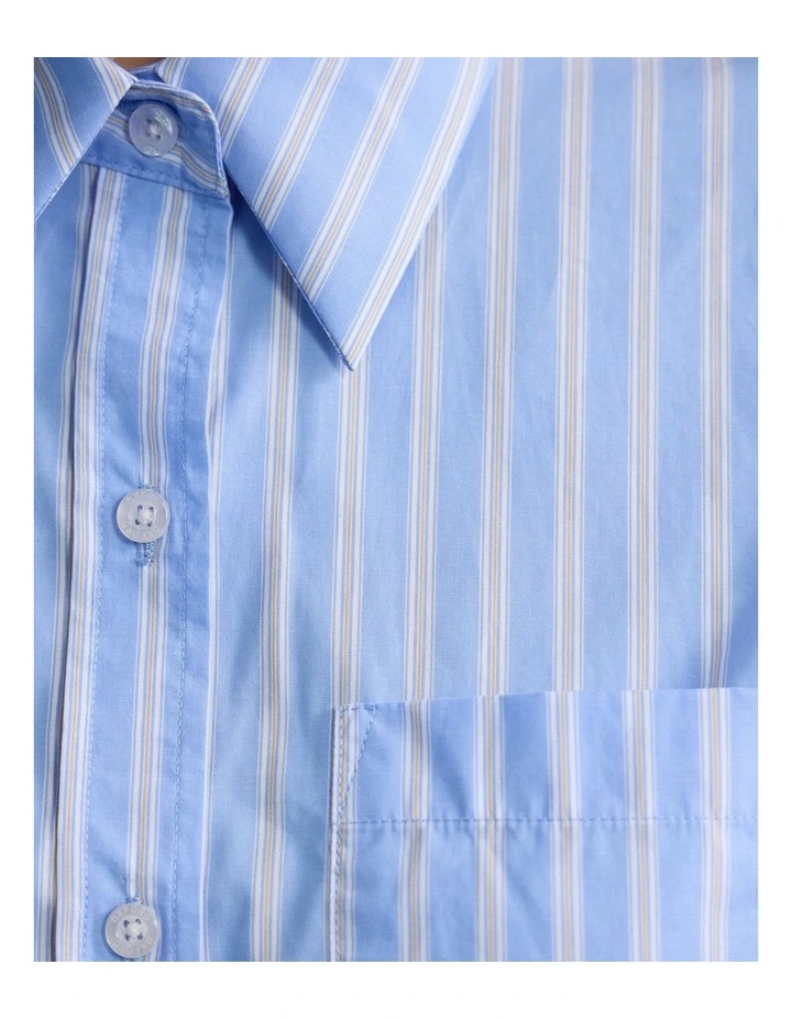 Adrienne Cotton Stripe Shirt in Blue Stripe image 6