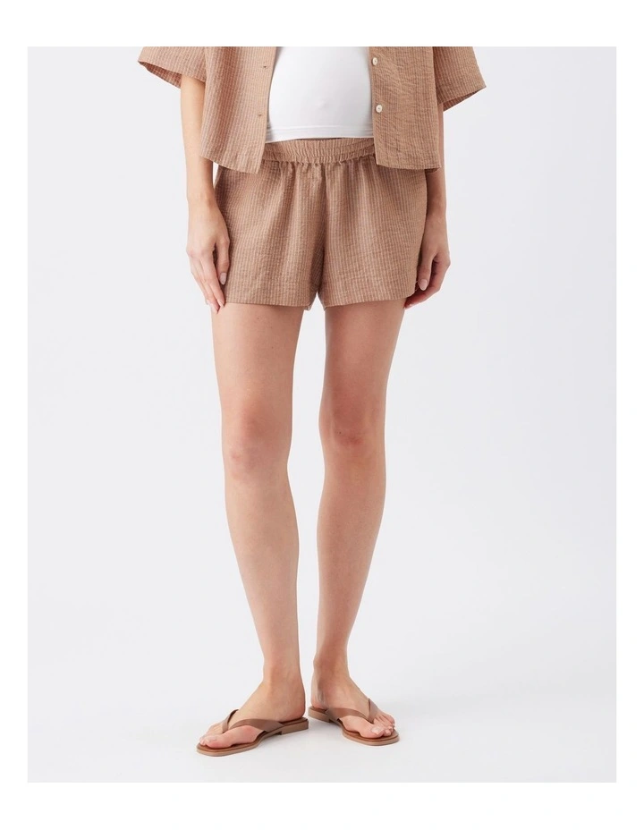 Paige Stripe Short image 1