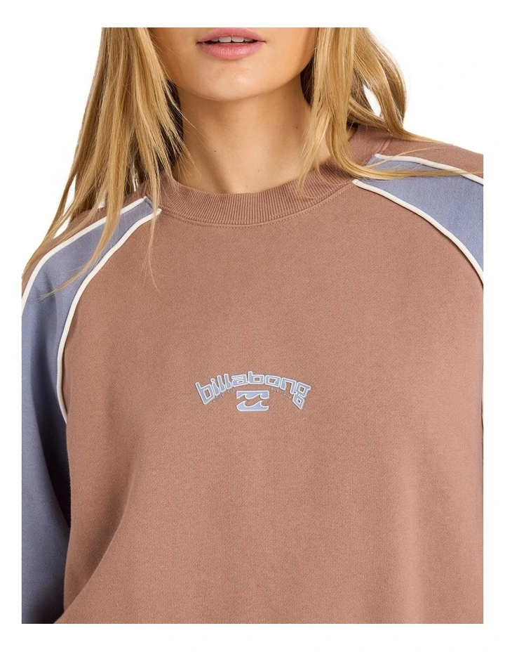 Cool Times Crew Neck in Brown image 4