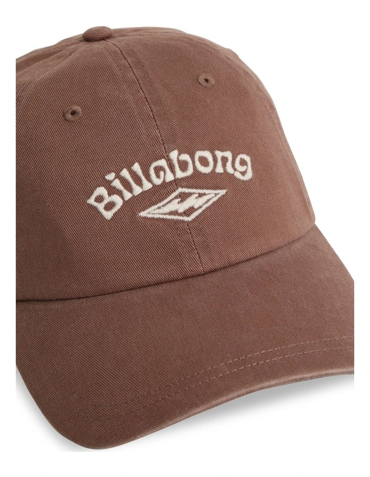 Paradise Dad Cap In Brownstone image 3