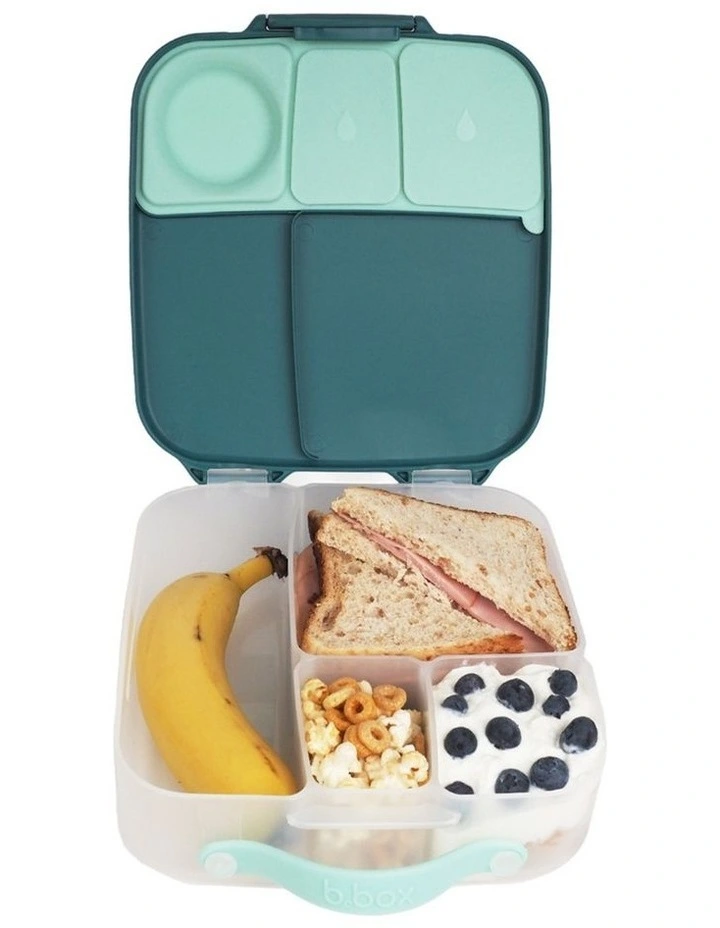 Mini LunchBox in Emerald Forest image 2