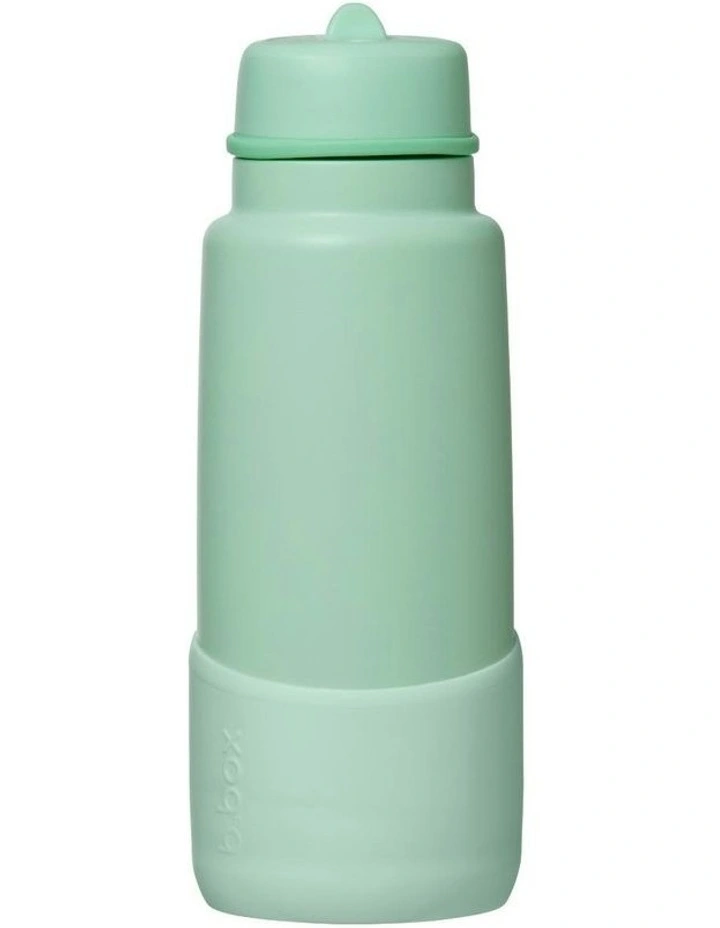 1L Bumper in Spearmint image 1