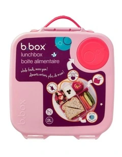 Lunchbox in Flamingo Fizz