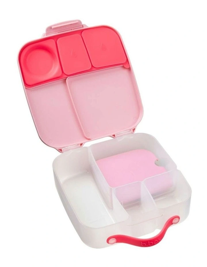 Lunchbox in Flamingo Fizz image 2