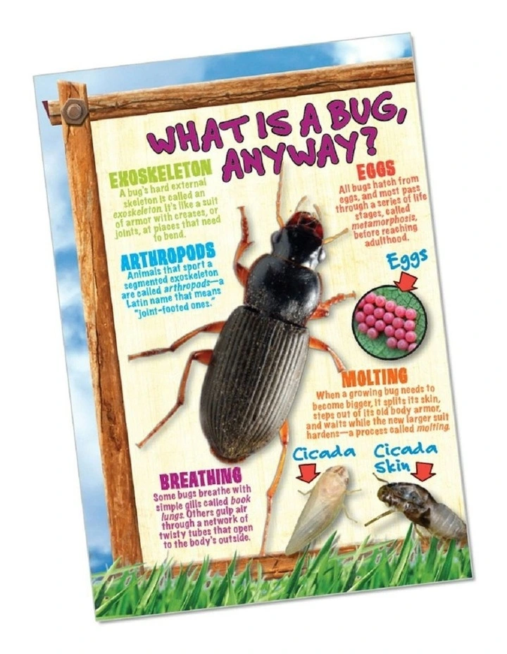 Bug Playground in Multi image 3